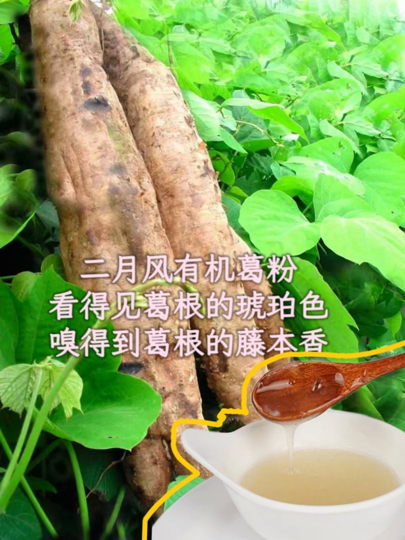 二月風(fēng)有機葛粉，看得見葛根的琥珀色，嗅得到葛根的藤本香_800.jpg
