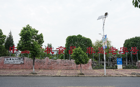 當(dāng)定制葛粉時(shí)，我們真正在選擇什么？