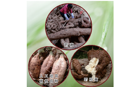 買葛粉是買野生的好？還是野生有機的好？