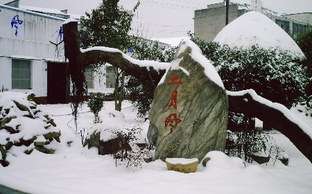 二月風致老友：一碗葛根粉的牽掛，農(nóng)博會上的重逢之約二月風盼老友：農(nóng)博會上，再續(xù)葛粉情緣